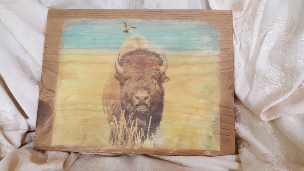 Buffalo Decoupage Art